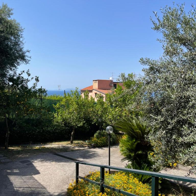 Villa Rosmary - One-Bedroom Apartment - 14
