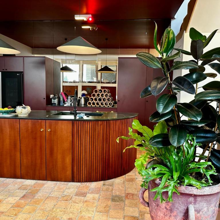 Maison MAÏTÉ, au cœur de Biarritz - Villa Supérieure - 12