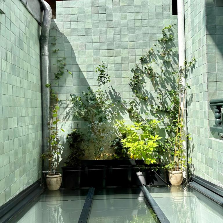 Maison MAÏTÉ, au cœur de Biarritz - Villa Supérieure - 38