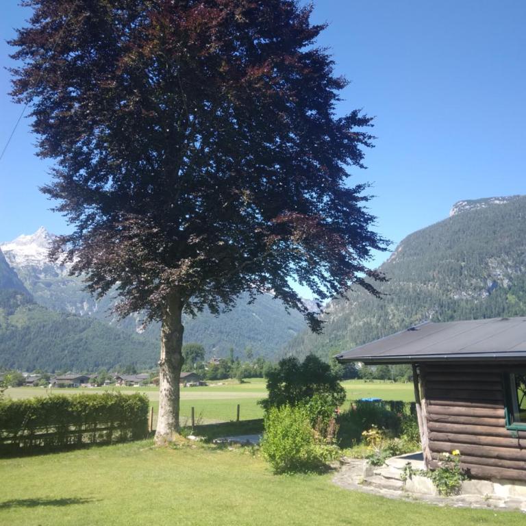 Chalet Scheffsnoth - One-Bedroom Apartment - 14