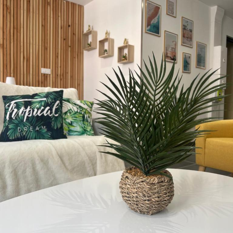Le Cosy - Appartement 1 Chambre - 15