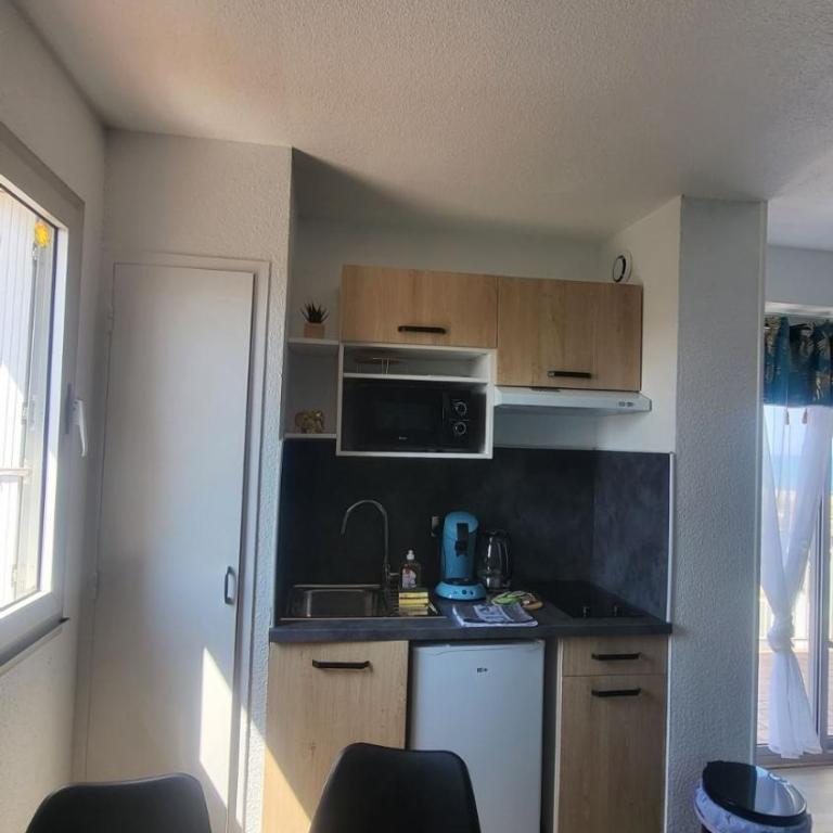 Vu mer, refait à neuf, spacieux, agréable, hôte reactif - Apartamento de 1 dormitorio - 7