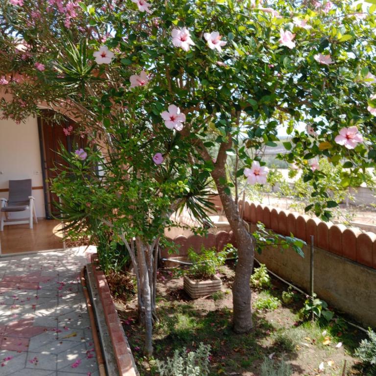 Jasmine House, Viale Kennedy, Santa Maria del focallo - Haus mit 2 Schlafzimmern - 14