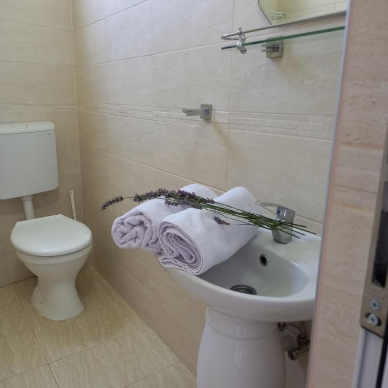 Apartments Verona - Deluks Dvokrevetna Soba sa Bračnim Krevetom i Balkonom - 4