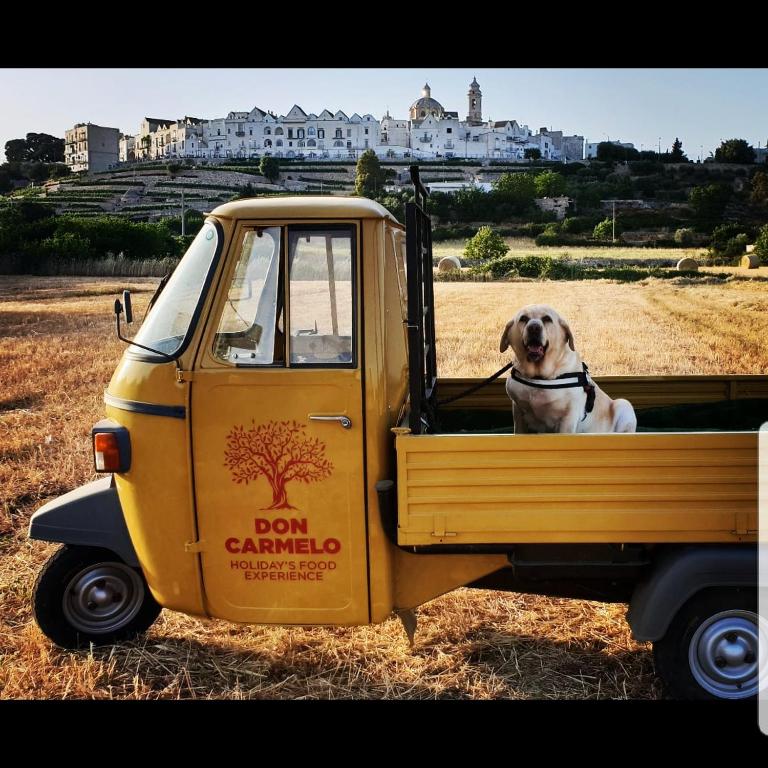 Casa Don Carmelo-Holiday' s Food Experience - Casa con 4 camere da letto - 38