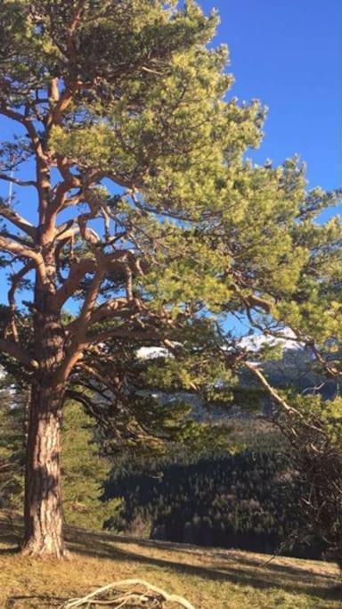 La haut, dans les montagnes ... - Appartement 2 Chambres - 26