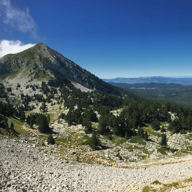 La haut, dans les montagnes ... - Appartement 2 Chambres - 33