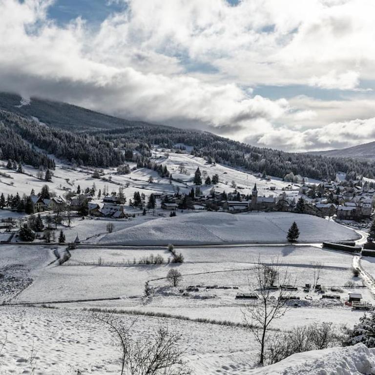 La haut, dans les montagnes ... - Appartement 2 Chambres - 37