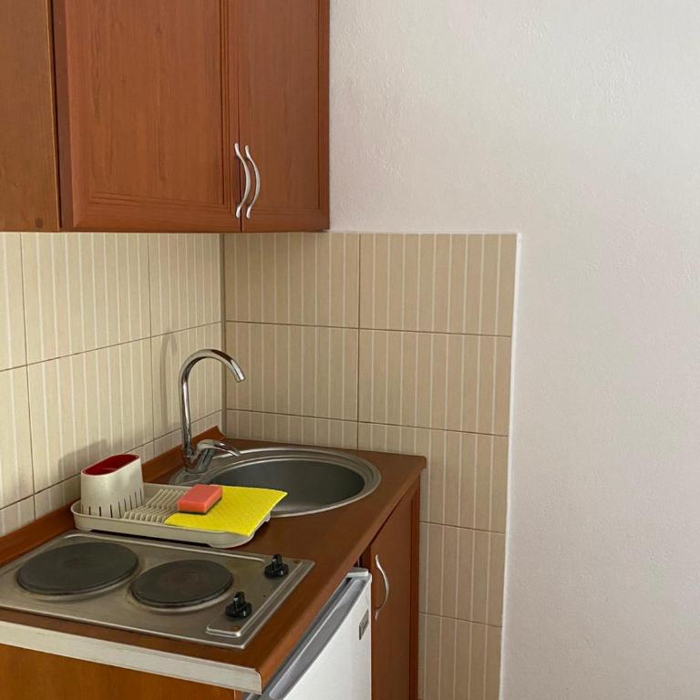 Fikret-apartmani Velika plaža - Trokrevetna Soba sa Sopstvenim Kupatilom - 4