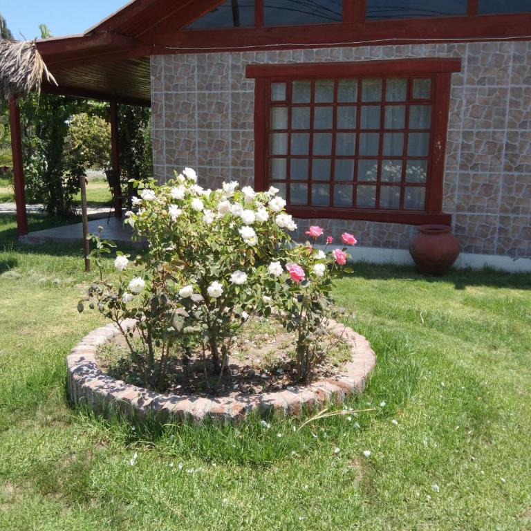 Conectar con la naturaleza te hará más feliz - Vacation Home - 21