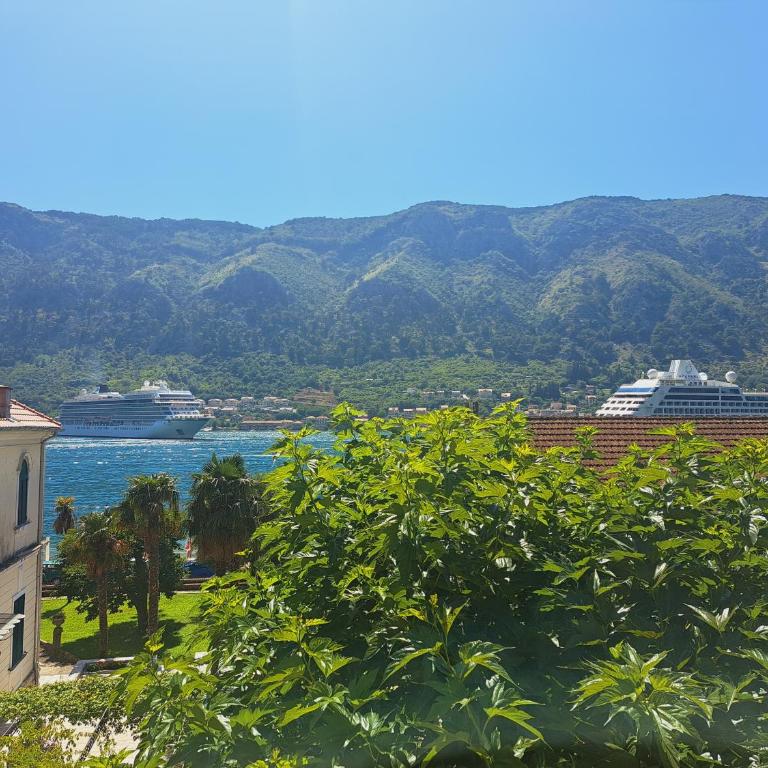 Apartmani F&M - Apartman sa 1 Spavaćom Sobom - 6