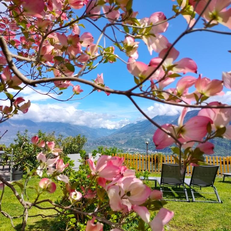 Georgenhöhe - Appartamento con Vista Montagna - 19