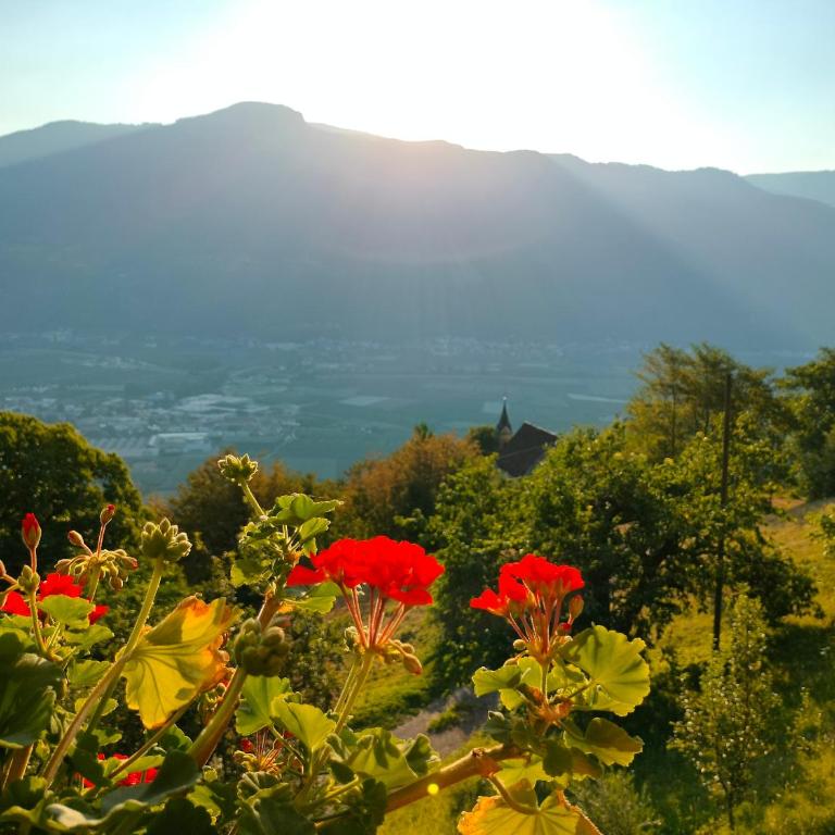 Georgenhöhe - Appartamento con Vista Montagna - 20