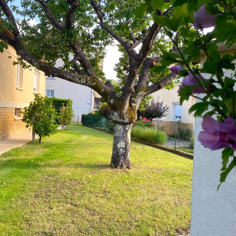 T3 rénové, jardin parking & garage privé, proche centre - Casa de 2 dormitorios - 20