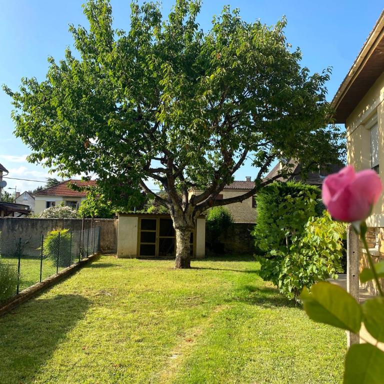 T3 rénové, jardin parking & garage privé, proche centre - Casa de 2 dormitorios - 22