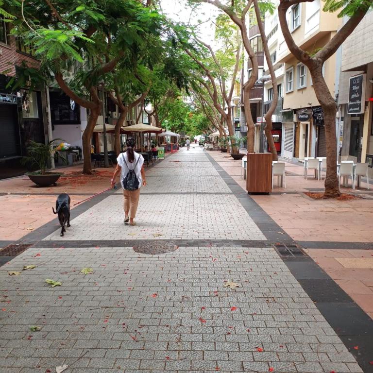 CENTER Santa Cruz, Alojamiento céntrico con gran terraza, cocina , salón y baños, todo privado - Apartamento de 1 dormitorio - 56