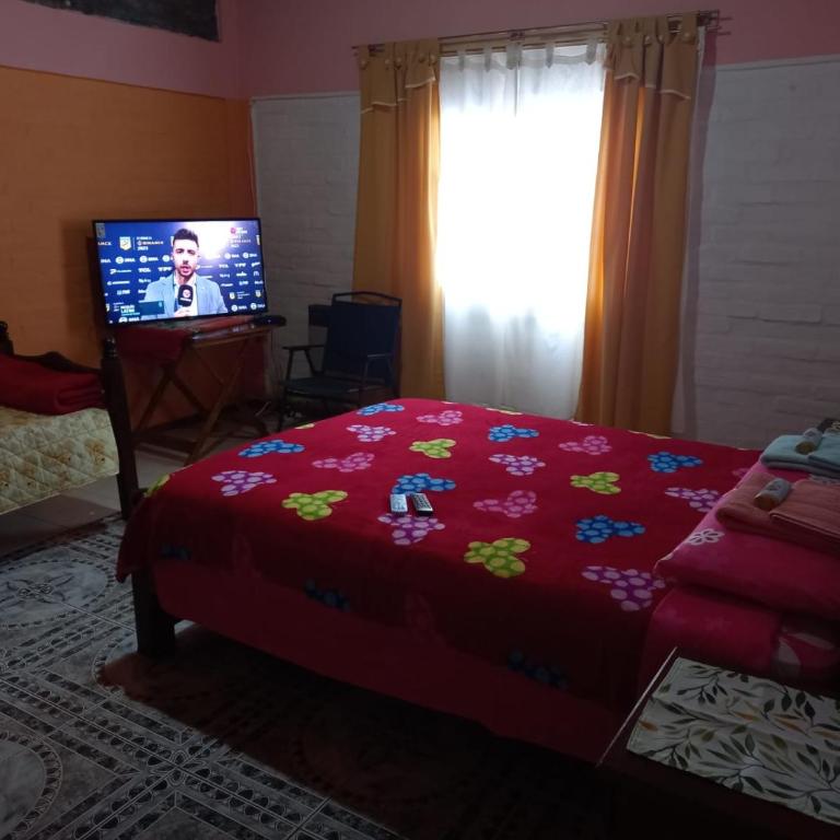 CASA PARA ALQUILER LA LILI - Casa de 2 dormitorios - 42