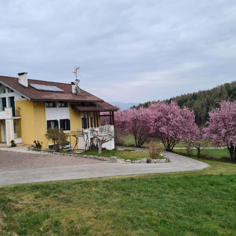 Casa Solaris - Appartement avec Vue sur la Montagne - 1