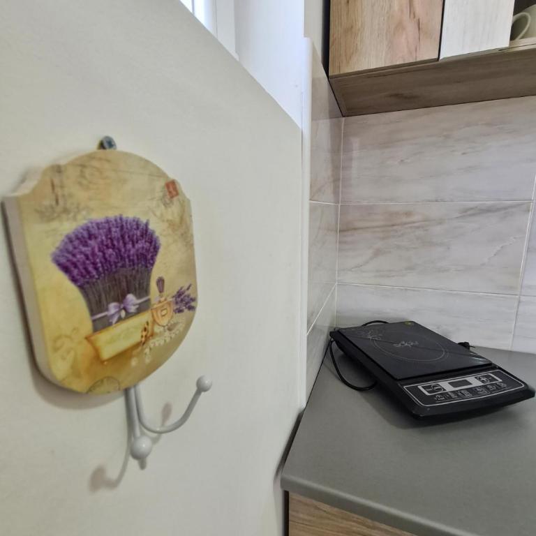 Čivijaška kuca - Apartman sa 1 Spavaćom Sobom - 2