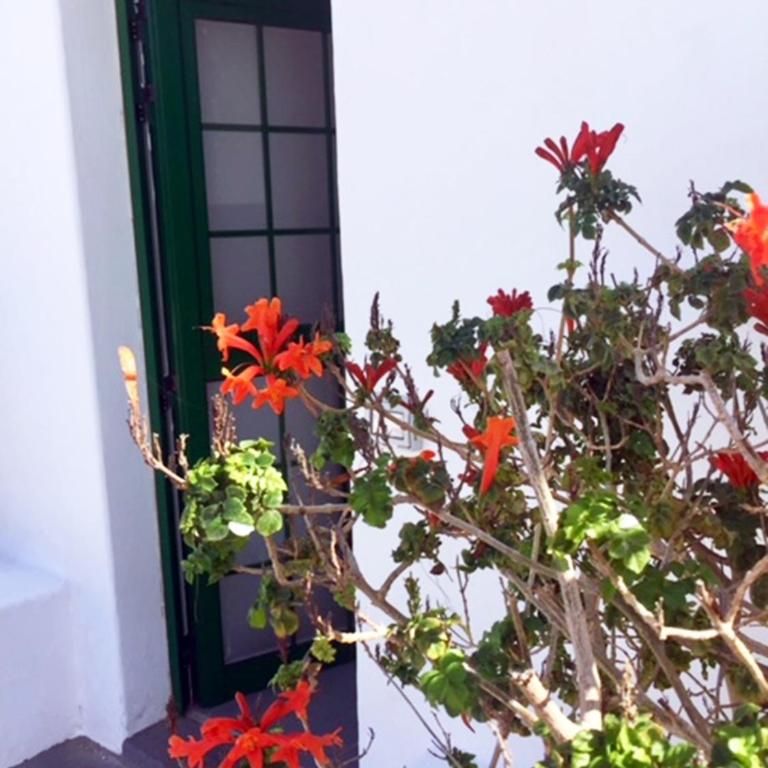 Apartment Matagorda - Apartamento - Planta baja - 1