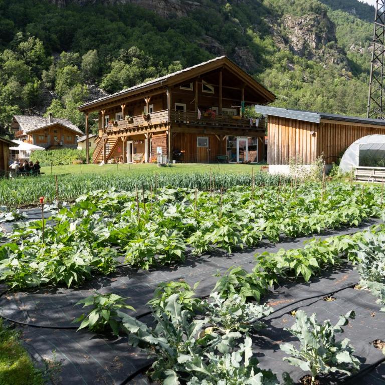 Le Camere di Naturalys - ospitalità in azienda agricola - Camera Matrimoniale Deluxe con Doccia - 21