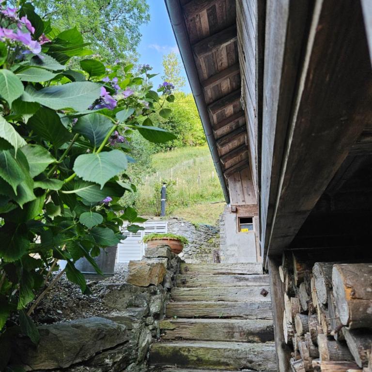 Traditional Chalet au calme avec hamman, sauna, jardins acceuillants et spacieux à l'intérieur et extérieur - Superior Chalet - 25