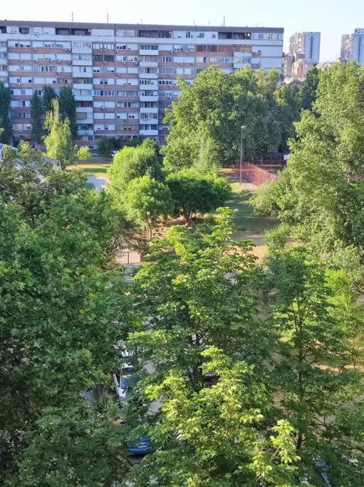 Magenta New Belgrade - Apartman sa 2 Spavaće Sobe - 6