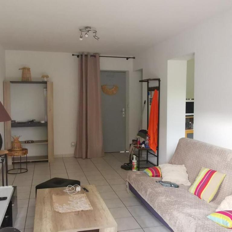 Rêve de Bisca Appartement spacieux climatisé avec jardin privatif piscine et parking privés - Appartement 1 Chambre - 67