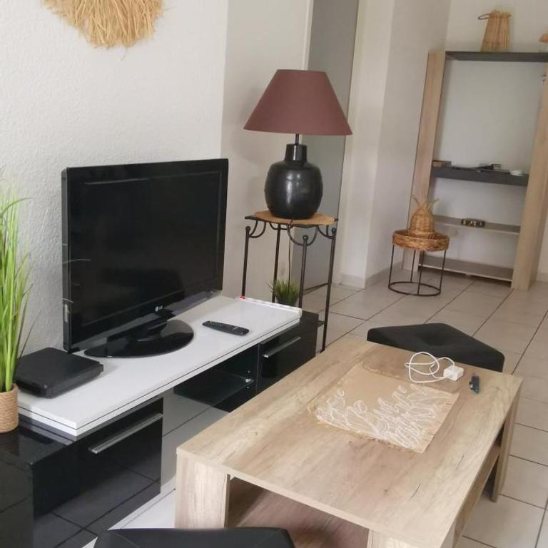 Rêve de Bisca Appartement spacieux climatisé avec jardin privatif piscine et parking privés - Appartement 1 Chambre - 66