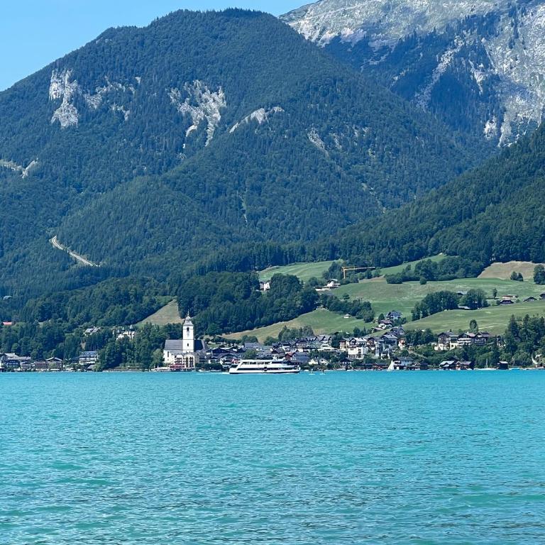 Wolfgangsee Ferienappartement „Almliebe“ - One-Bedroom Apartment - 23
