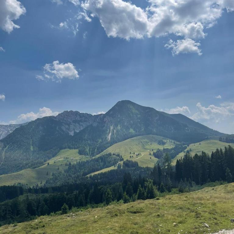 Wolfgangsee Ferienappartement „Almliebe“ - One-Bedroom Apartment - 25
