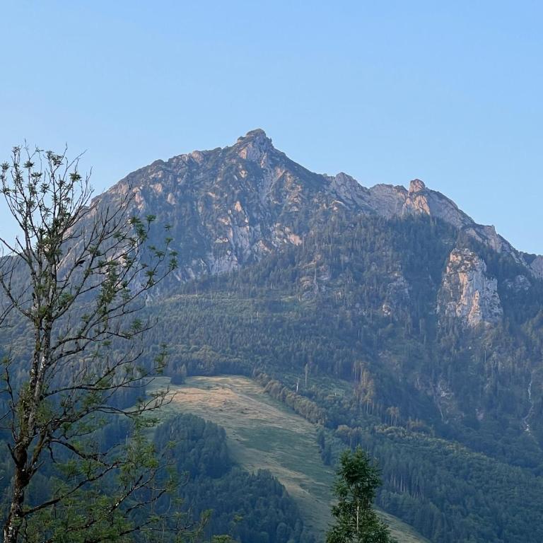 Wolfgangsee Ferienappartement „Almliebe“ - One-Bedroom Apartment - 27