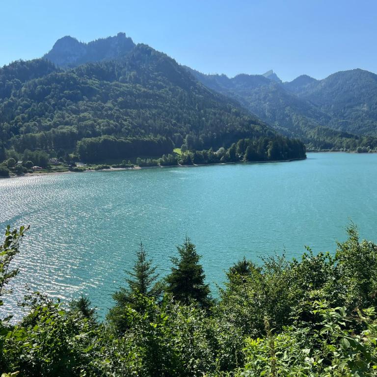 Wolfgangsee Ferienappartement „Almliebe“ - One-Bedroom Apartment - 28