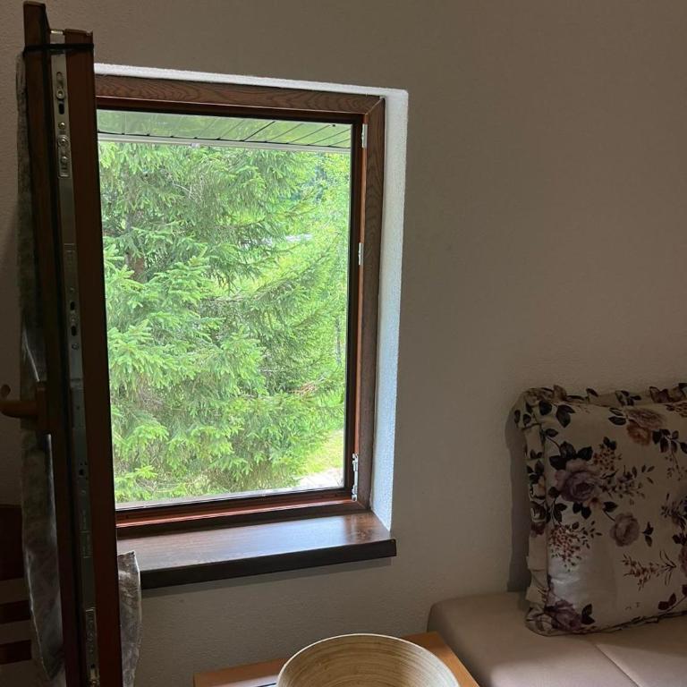 Studio Apartment - One-Bedroom Apartment - 11