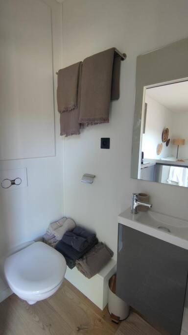 Mini maison au coeur de la Loire - Casa con 1 dormitorio - 5