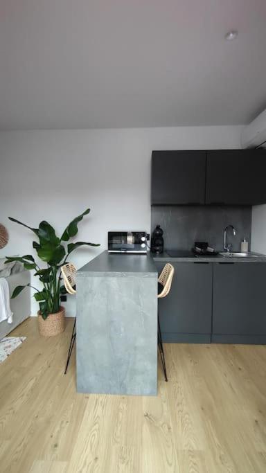 Mini maison au coeur de la Loire - Casa con 1 dormitorio - 12