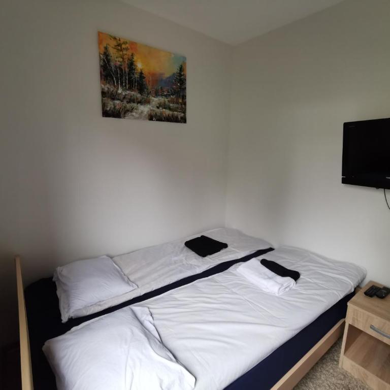 Zlatiborski konaci K16A10 - Apartman sa 1 Spavaćom Sobom - 6