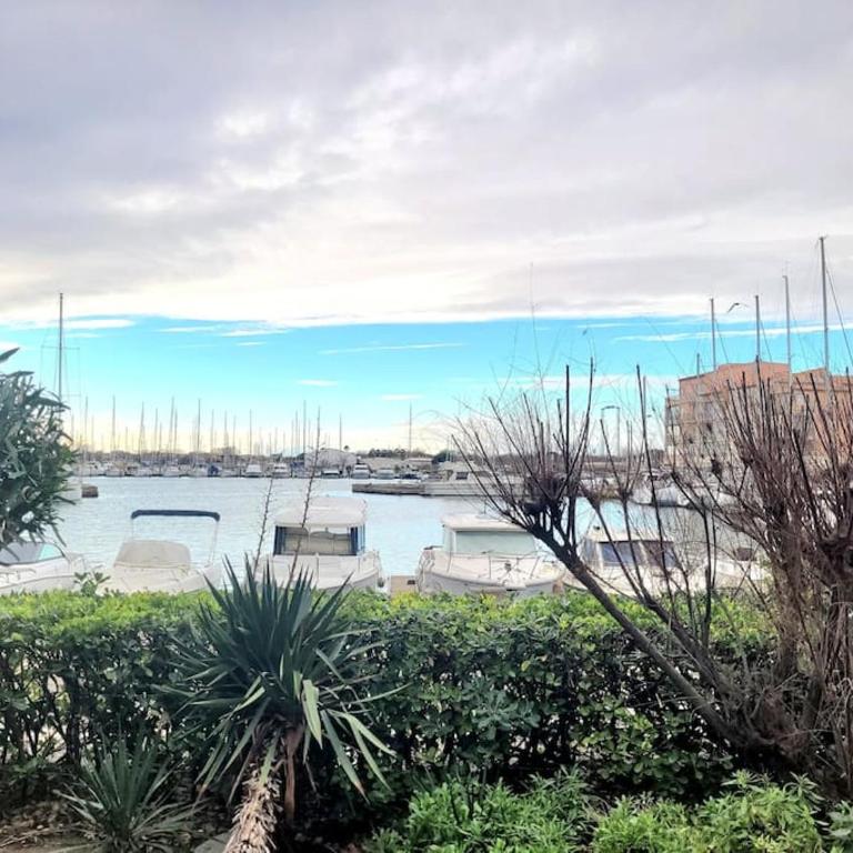 Bel appartement sur le port avec jardin - Apartment mit 2 Schlafzimmern - 1