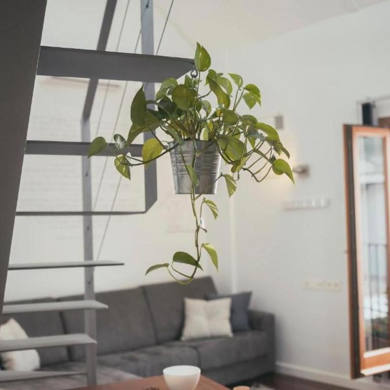 Trigo Homes - Apartamento Familiar Deluxe - 5