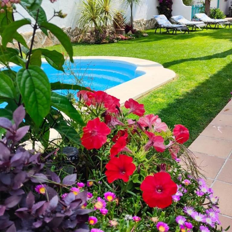 Villa Zahara - Casa - 2