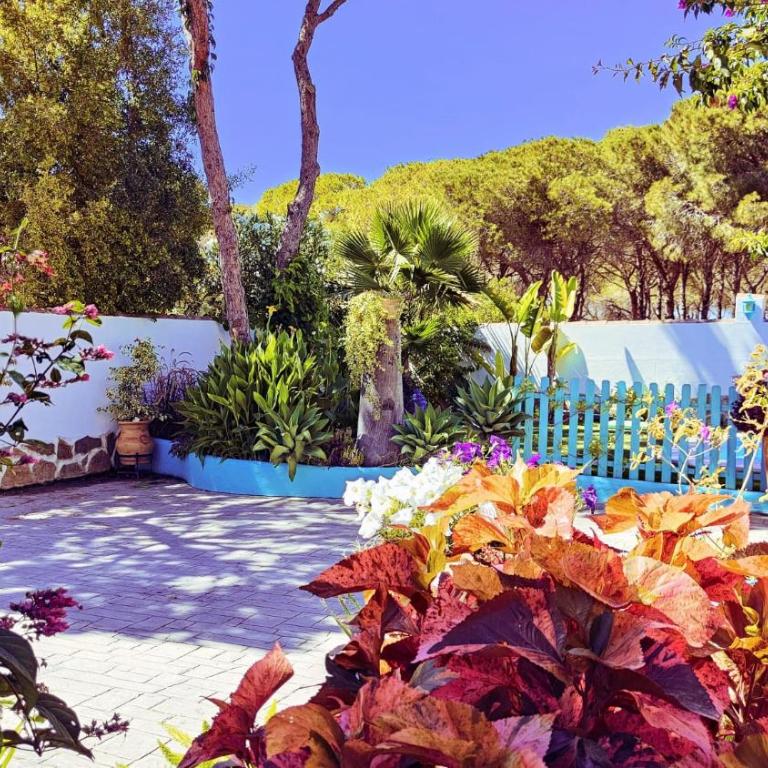 Villa Zahara - Casa - 9