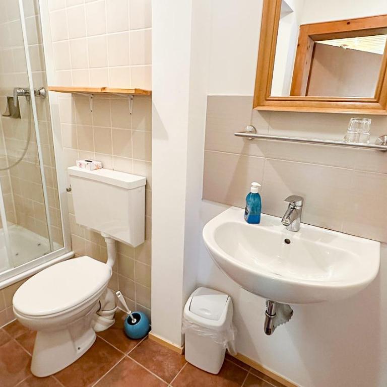 Almbauernhof - Apartment mit 1 Schlafzimmer - 5