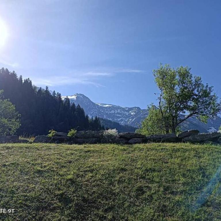Appartement en rez de jardin vue montagne - One-Bedroom Apartment - 4