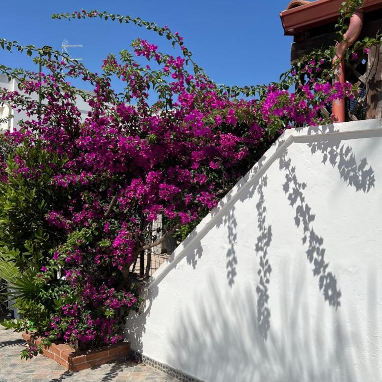Villa Mediterraneo - Two-Bedroom House - 19