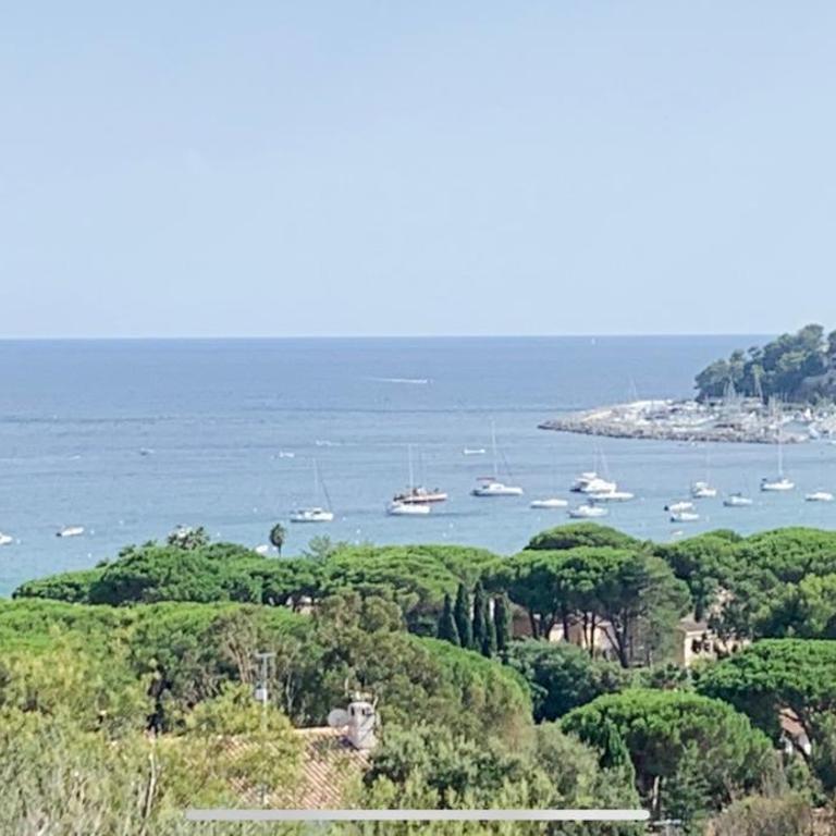 Les Citronniers - Splendide vue mer accès plage à pieds à 5 minutes - Villa con Vista Mare - 5