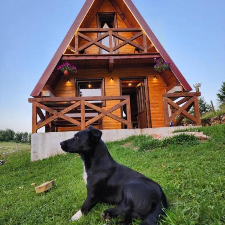 Mountain house Drveni Raj - Two-Bedroom House - 31