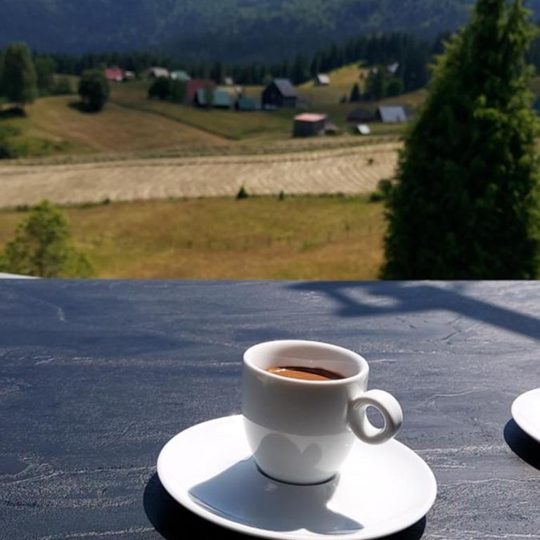 Durmitorske Vile - Two-Bedroom Villa - 9