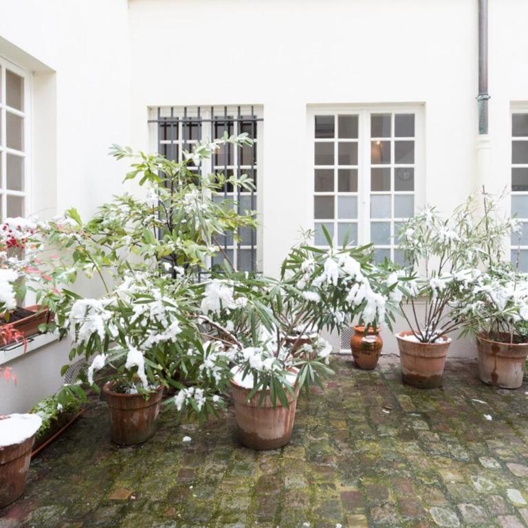 Charming Appartment in Le Marais - Appartement - Rez-de-Chaussée - 1