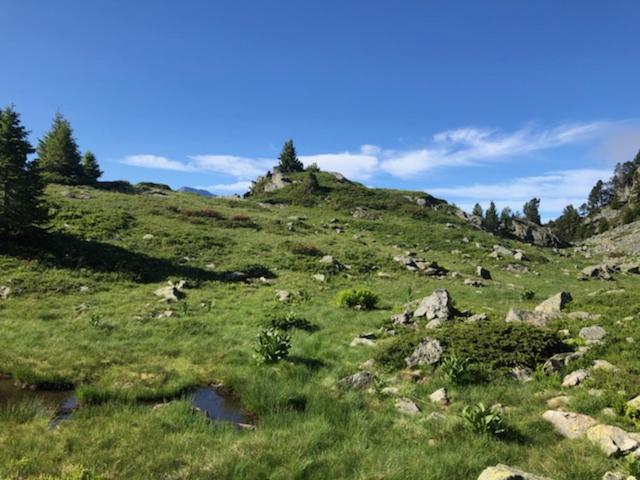 Les Cytises classé 3 étoiles au col de Chamrousse à 1750 - Appartement 2 Chambres avec Balcon - 22