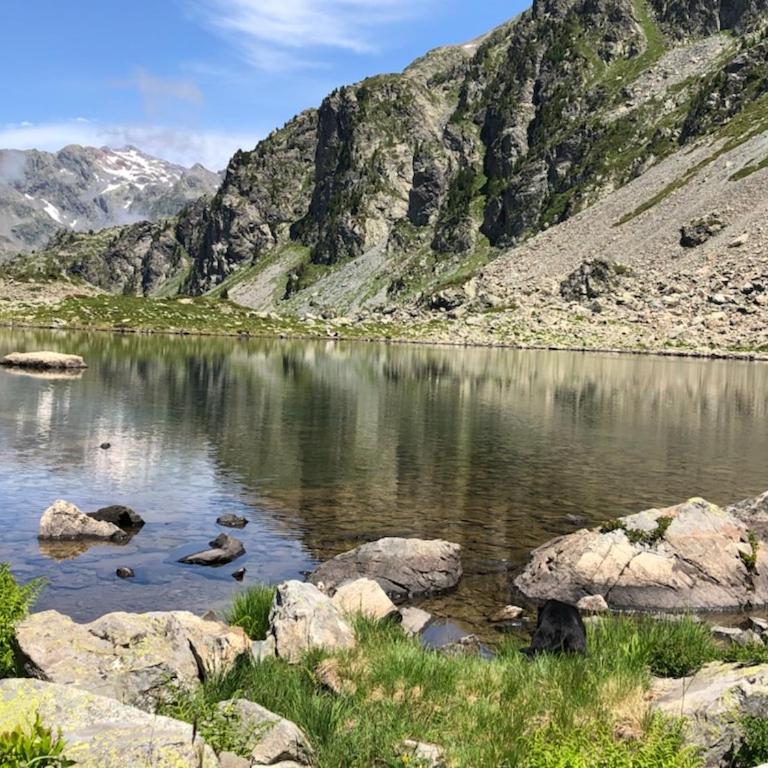 Les Cytises classé 3 étoiles au col de Chamrousse à 1750 - Appartement 2 Chambres avec Balcon - 23